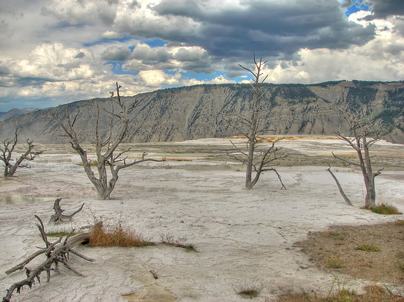 Mammoth Hot Springs