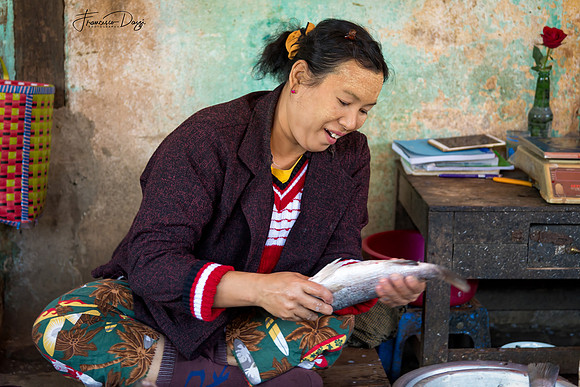 The fish vendor at Mani Sithu Market in Nyaung-U Myanmar woman