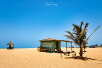Senegal beach sky Africa palm tree vacation