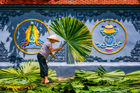 Geometry of Tradition Vietnam work woman leaves palm hat
