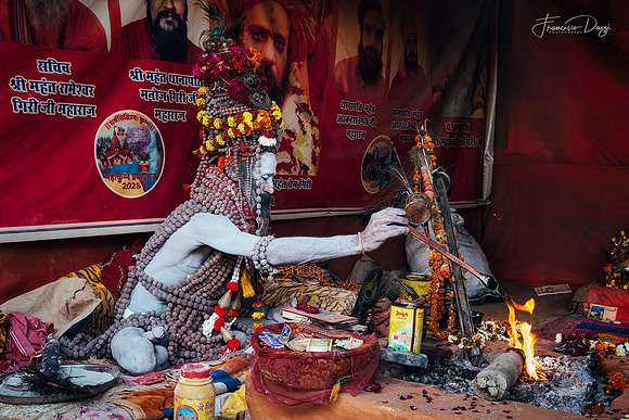The Flame and the Ascetic India shadu sadhu Kumbh Mela ritual ascetic