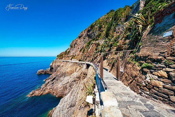Along the Cliffs of Riomaggiore Italy landscape path coastline