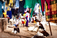 Street Life in Motion Senegal Africa street