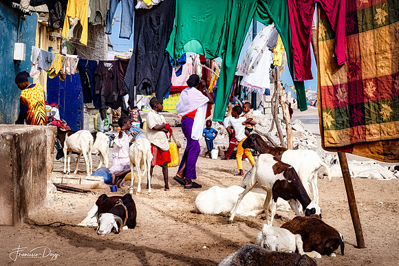 Street Life in Motion Senegal Africa street