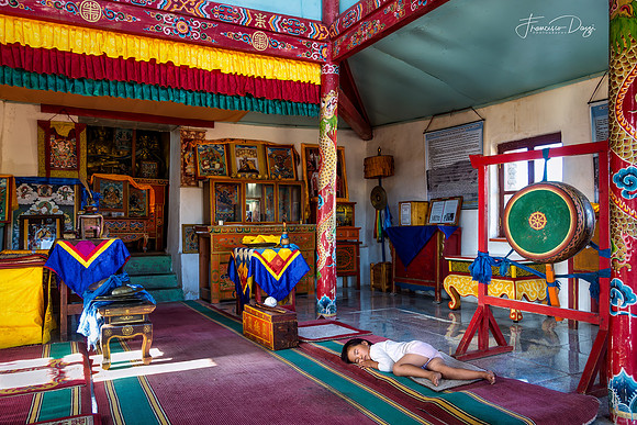 A Quiet Breath in the Temple Mongolia Buddhism child kid
