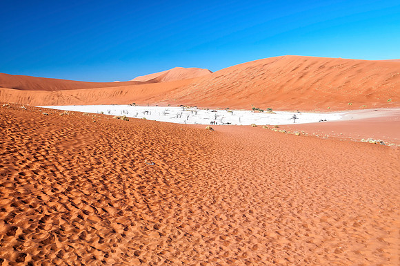 View of Deadvlei in early morning sossusvlei namibia desert