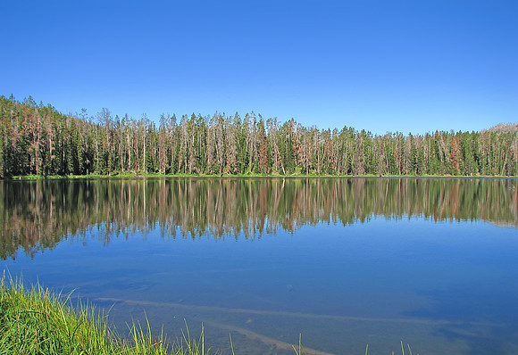 Sylvan Lake