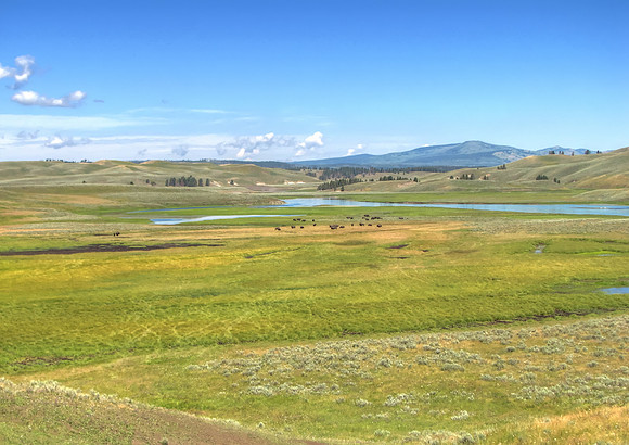 Hayden Valley