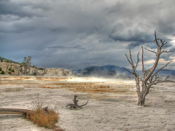 Mammoth Hot Springs