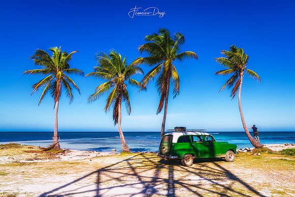 A Quiet Conversation with the Sea, Cayo Jutias Cuba car palms beach