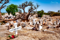 Waves of Shells and Memories: The Cemetery on the Sea Senegal Joal Fadiouth